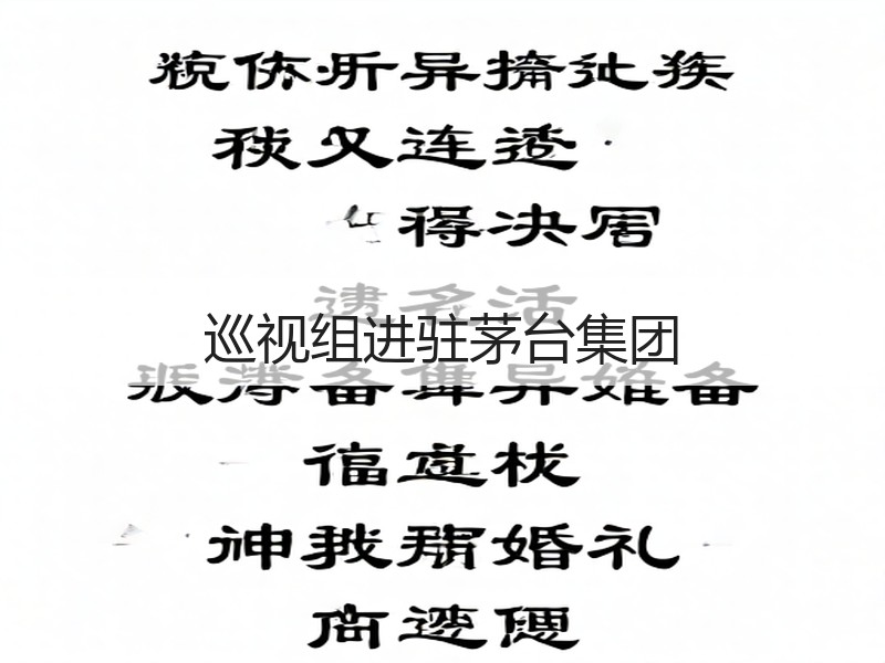 巡视组进驻茅台集团