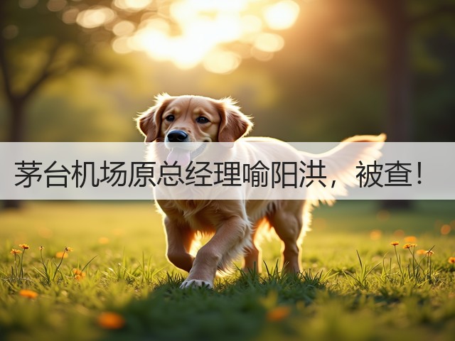 茅台机场原总经理喻阳洪，被查！(图1)