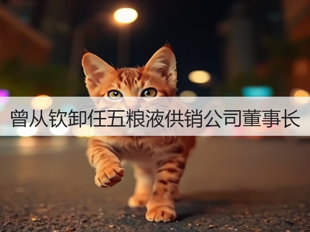 曾从钦卸任五粮液供销公司董事长(图1)