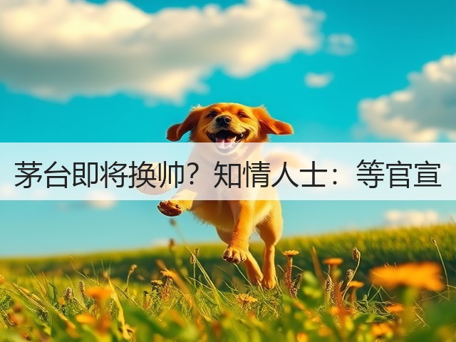 茅台即将换帅？知情人士：等官宣(图2)