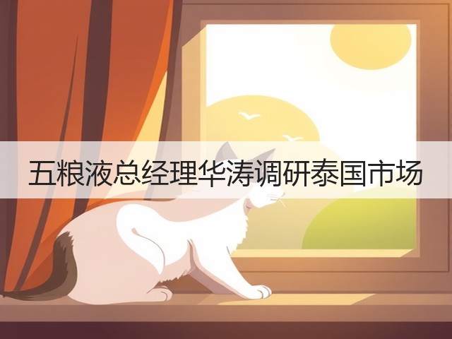 五粮液总经理华涛调研泰国市场(图1)