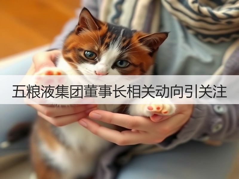 五粮液集团董事长相关动向引关注