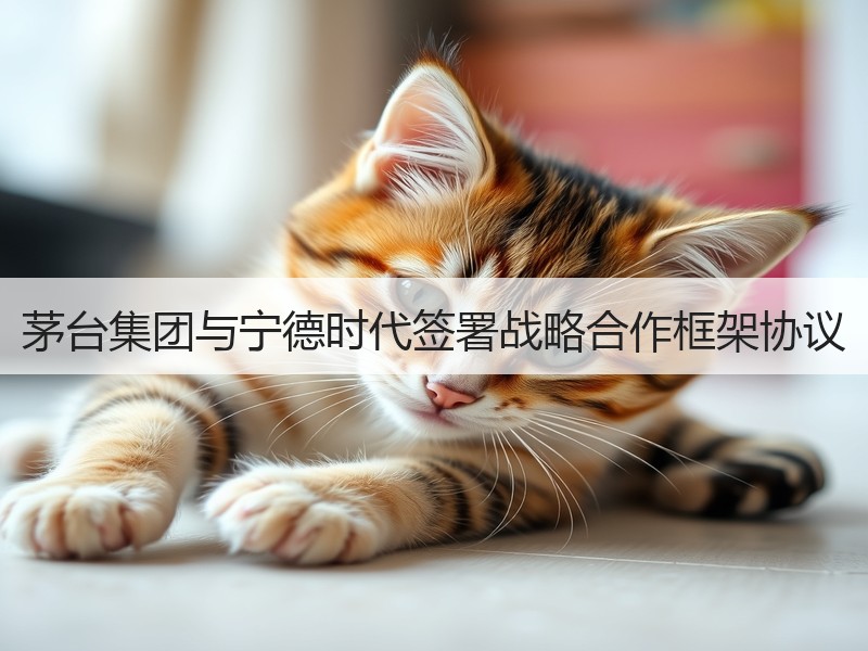 茅台集团与宁德时代签署战略合作框架协议