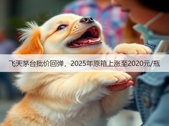 飞天茅台批价回弹，2025年原箱上涨至2020元/瓶(图1)