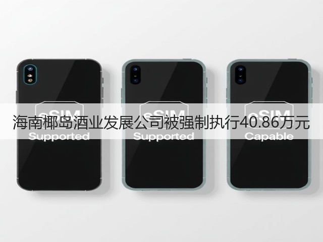 海南椰岛酒业发展公司被强制执行40.86万元(图1)