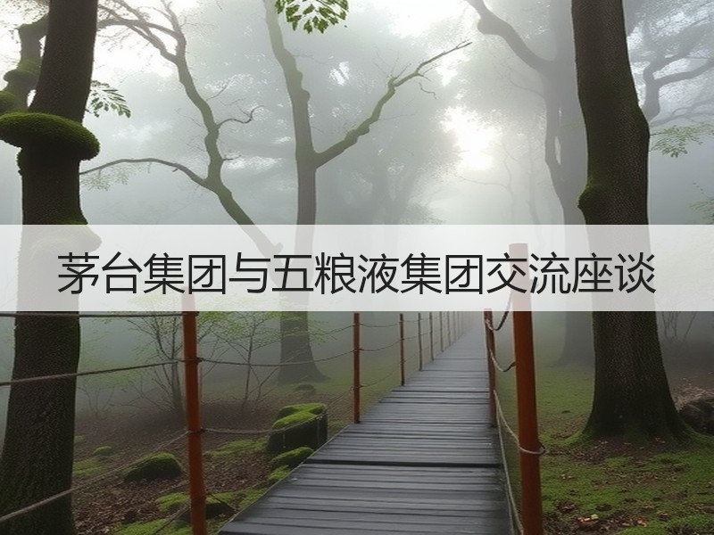 茅台集团与五粮液集团交流座谈
