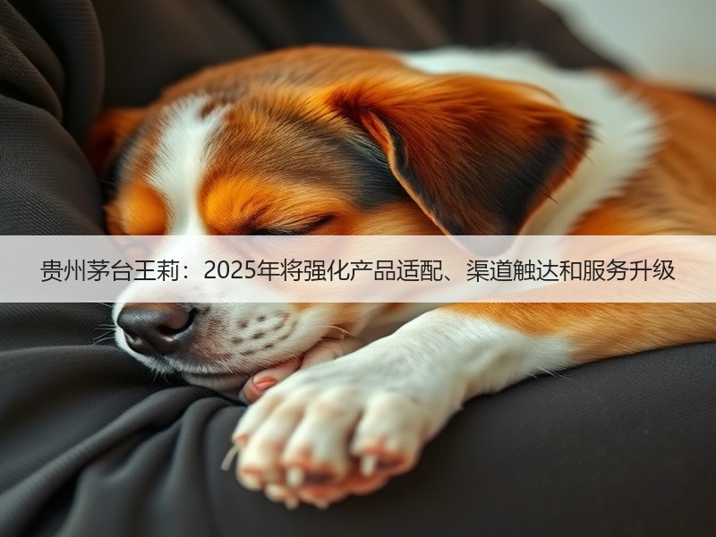 贵州茅台王莉：2025年将强化产品适配、