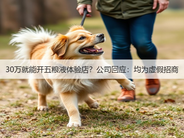30万就能开五粮液体验店？公司回应：均为虚假招商(图5)