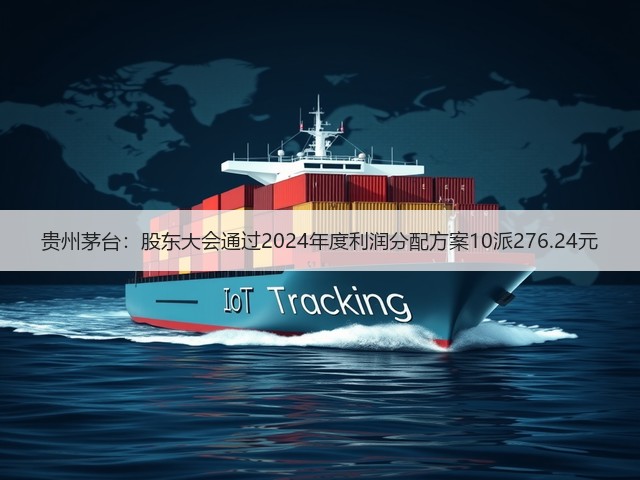 贵州茅台：股东大会通过2024年度利润分配方案10派276.24元(图5)