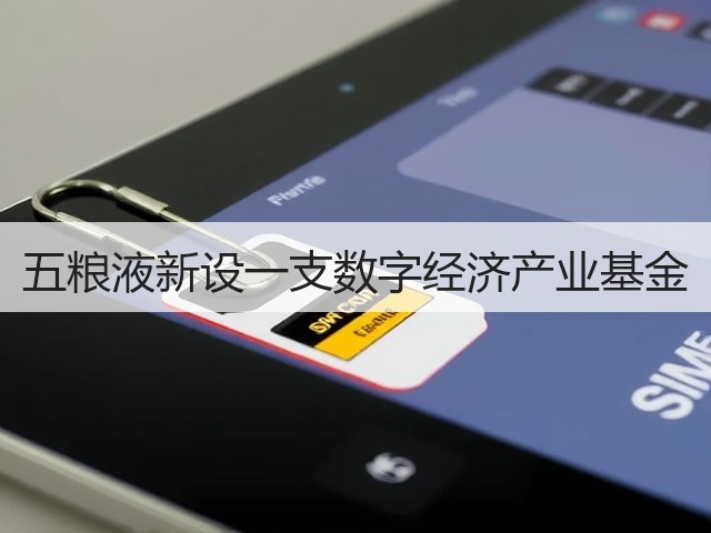 五粮液新设一支数字经济产业基金(图4)