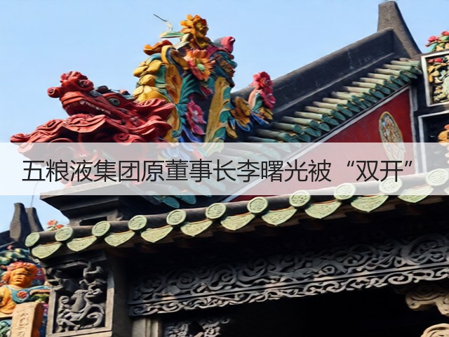 五粮液集团原董事长李曙光被“双开”(图1)