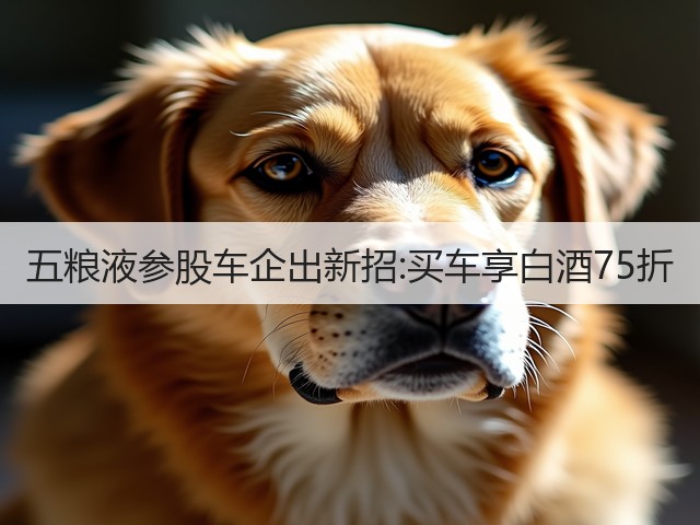 五粮液参股车企出新招:买车享白酒75折(图2)