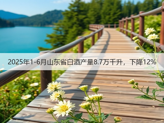 2025年1-6月山东省白酒产量8.7万千升，下降12%(图4)