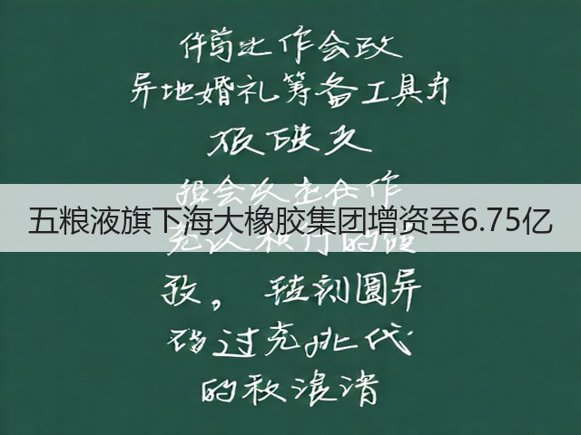 五粮液旗下海大橡胶集团增资至6.75亿(图4)
