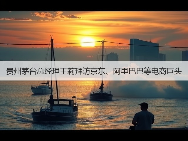 贵州茅台总经理王莉拜访京东、阿里巴巴等电商巨头(图4)