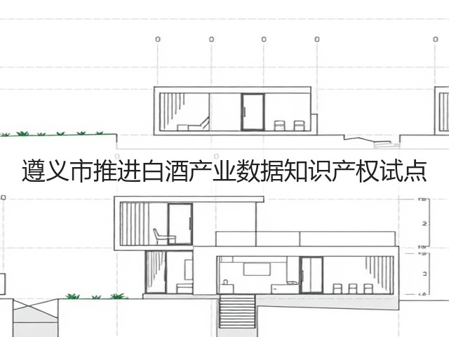 遵义市推进白酒产业数据知识产权试点(图1)