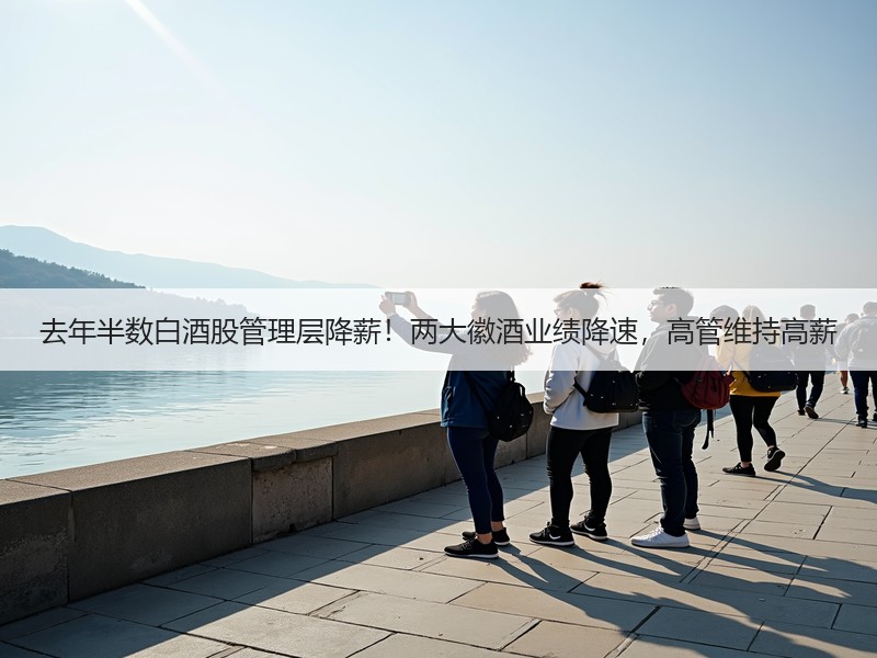 去年半数白酒股管理层降薪！两大徽酒业绩降