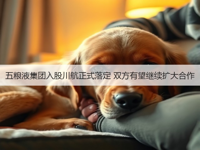 五粮液集团入股川航正式落定 双方有望继续扩大合作(图2)