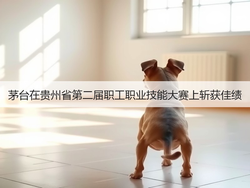 茅台在贵州省第二届职工职业技能大赛上斩获