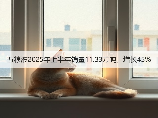 五粮液2025年上半年销量11.33万吨，增长45%(图5)