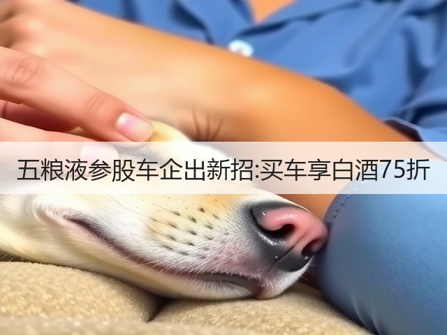 五粮液参股车企出新招:买车享白酒75折(图1)