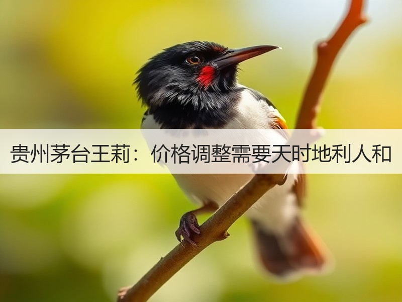 贵州茅台王莉：价格调整需要天时地利人和