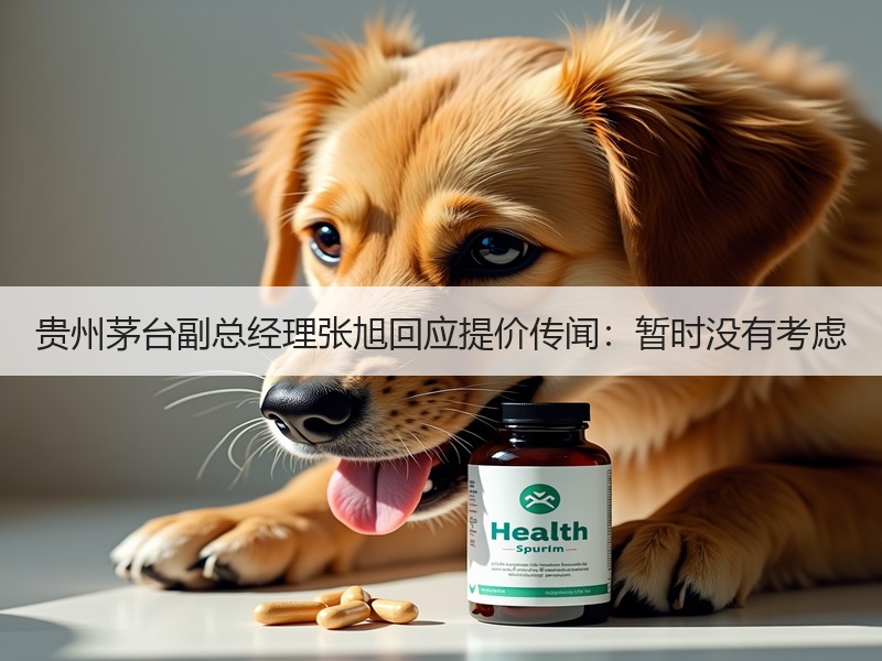 贵州茅台副总经理张旭回应提价传闻：暂时没
