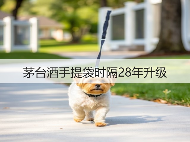 茅台酒手提袋时隔28年升级(图4)
