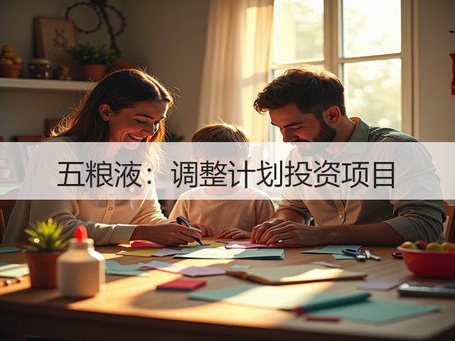 五粮液：调整计划投资项目(图2)
