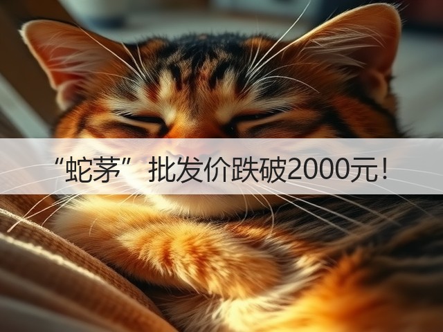 “蛇茅”批发价跌破2000元!(图3) “蛇茅”批发价跌破2000元!(图3)