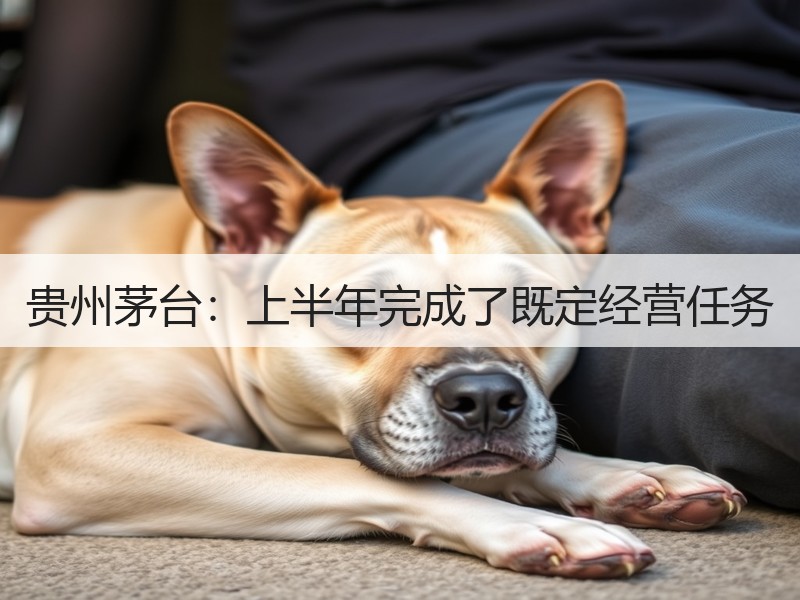 贵州茅台：上半年完成了既定经营任务