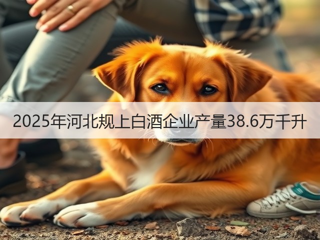 2025年河北规上白酒企业产量38.6万千升(图2)