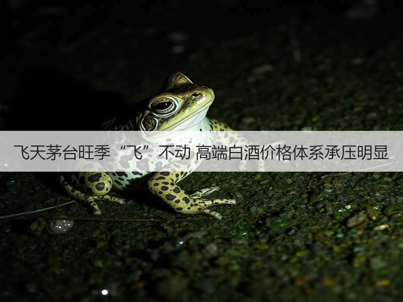 飞天茅台旺季“飞”不动 高端白酒价格体系