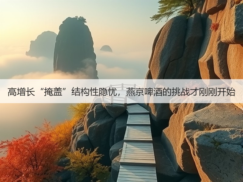 高增长“掩盖”结构性隐忧，燕京啤酒的挑战