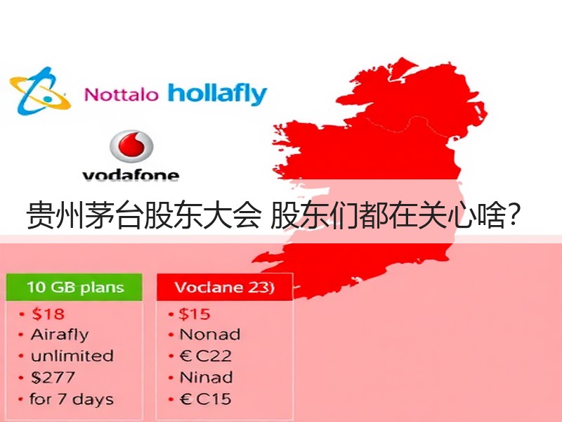 贵州茅台股东大会 股东们都在关心啥？