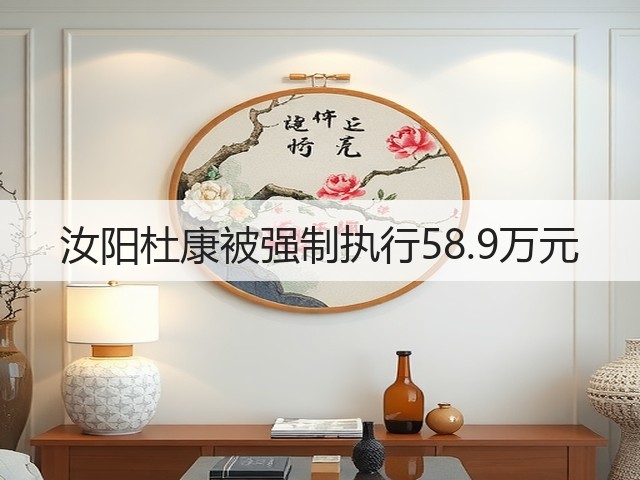 汝阳杜康被强制执行58.9万元(图2)