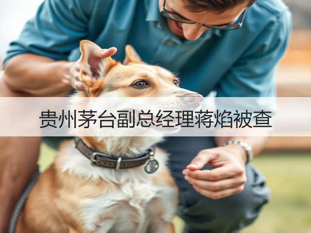 贵州茅台副总经理蒋焰被查(图1)