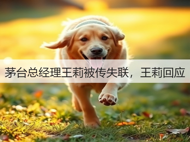 茅台总经理王莉被传失联，王莉回应(图1)