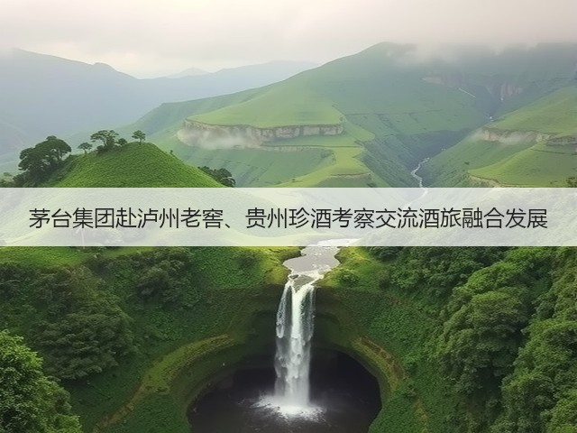 茅台集团赴泸州老窖、贵州珍酒考察交流酒旅融合发展(图1)