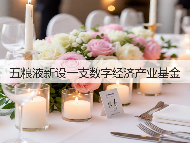 五粮液新设一支数字经济产业基金