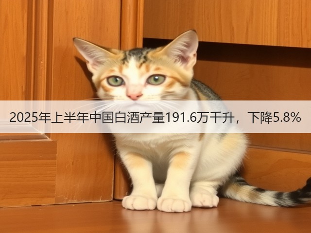 2025年上半年中国白酒产量191.6万千升，下降5.8%(图1)