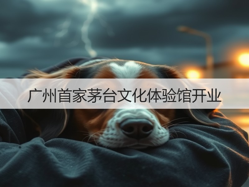 广州首家茅台文化体验馆开业