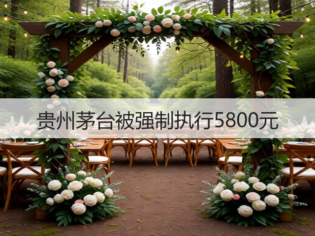 贵州茅台被强制执行5800元(图1)