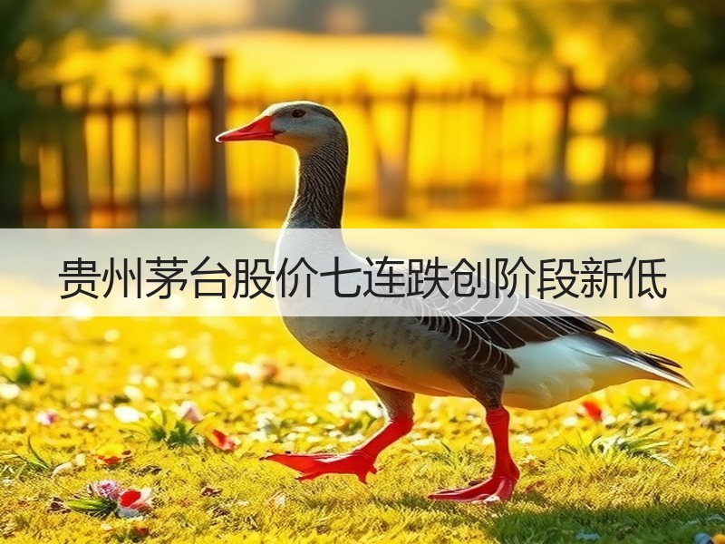 贵州茅台股价七连跌创阶段新低