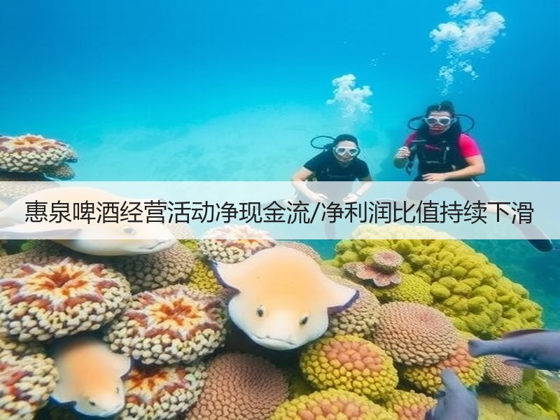惠泉啤酒经营活动净现金流/净利润比值持续