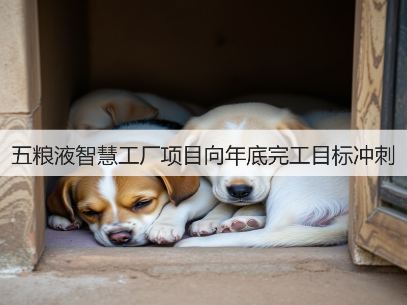 五粮液智慧工厂项目向年底完工目标冲刺