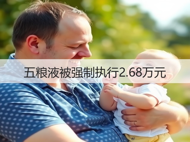 五粮液被强制执行2.68万元(图5)