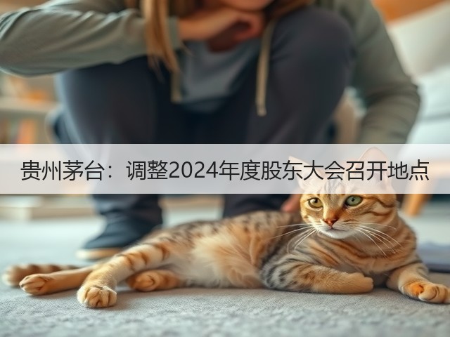 贵州茅台：调整2024年度股东大会召开地点(图5)