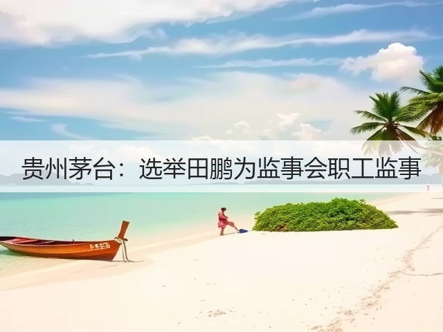 贵州茅台:选举田鹏为监事会职工监事(图4) 贵州茅台:选举田鹏为监事会职工监事(图4)