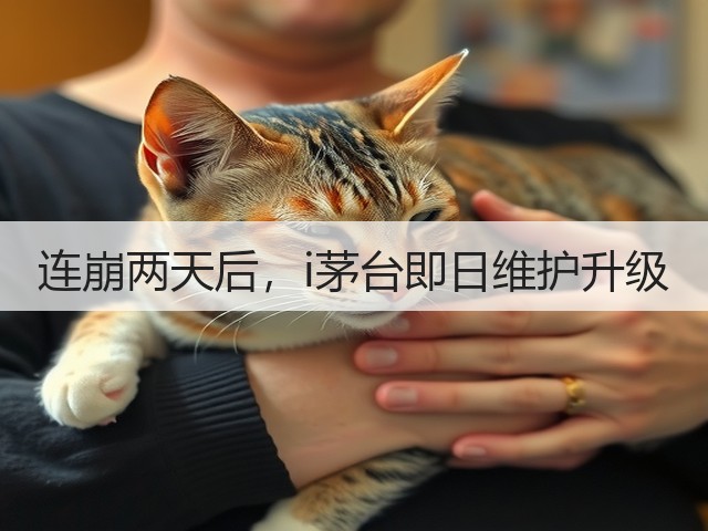 连崩两天后，i茅台即日维护升级(图5)